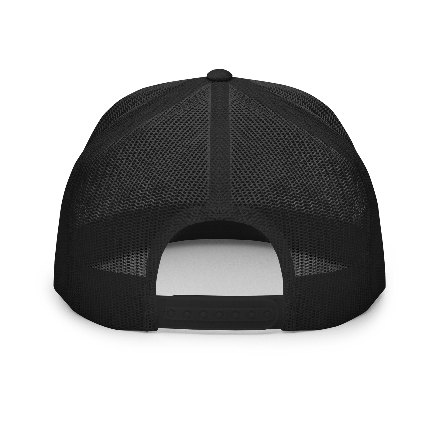 the SIGNATURE snapback