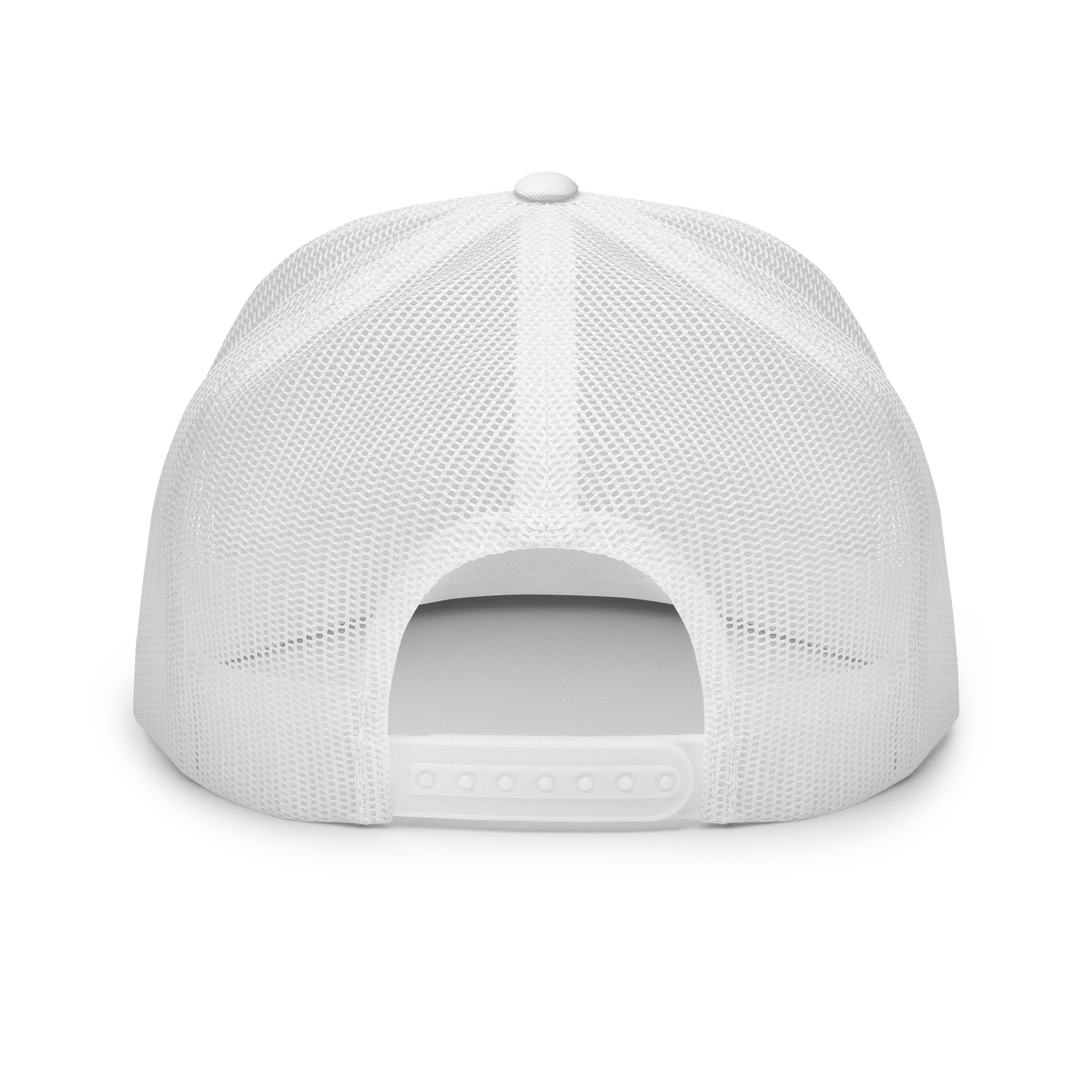 the SIGNATURE snapback