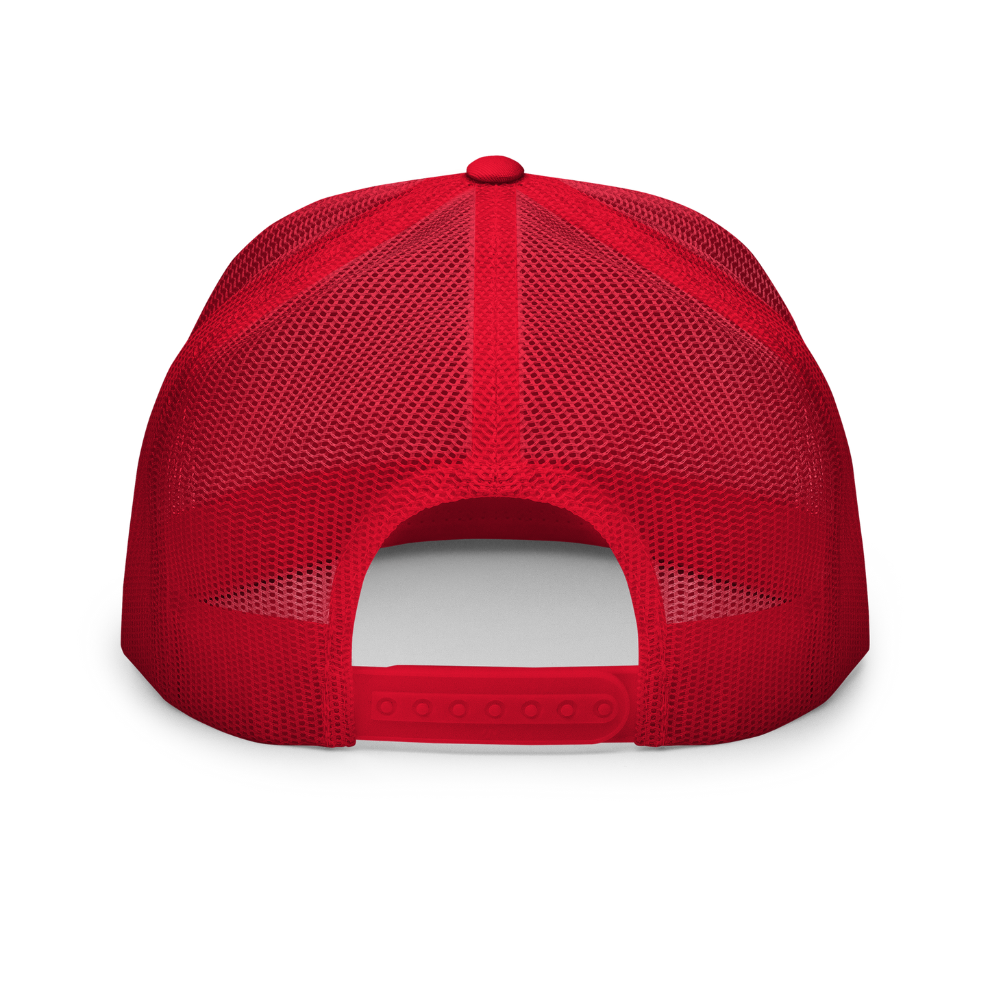 the SIGNATURE snapback