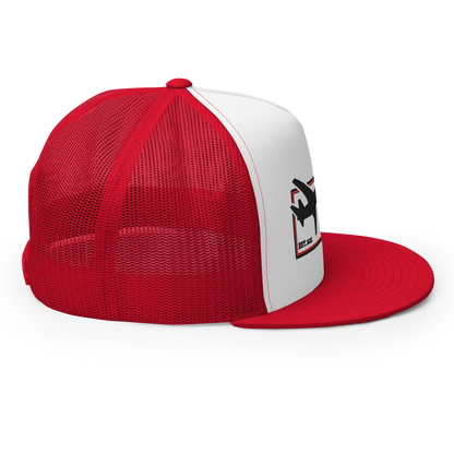 the SIGNATURE snapback