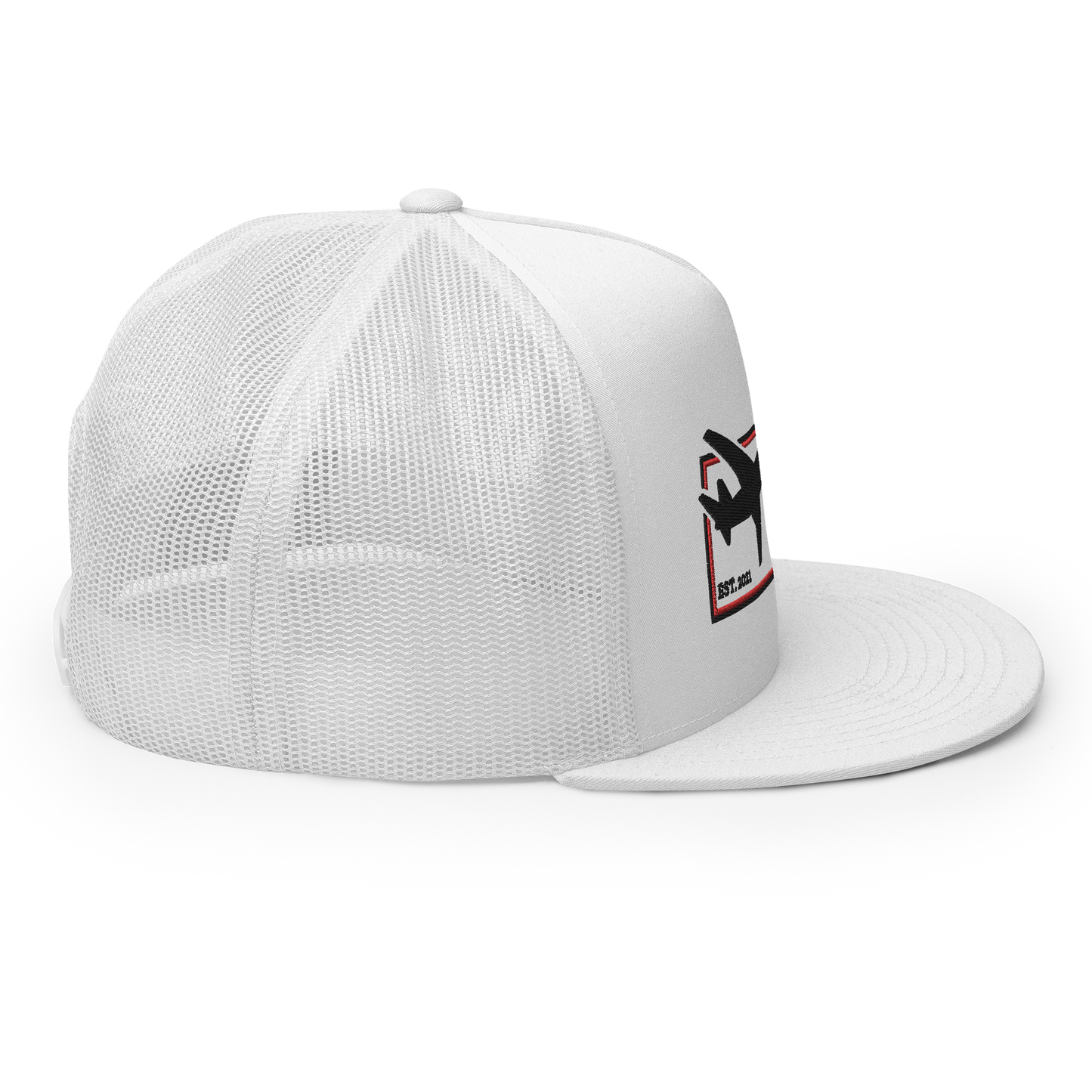 the SIGNATURE snapback