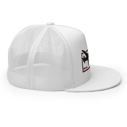 the SIGNATURE snapback